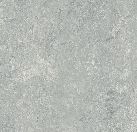 Dove Grey